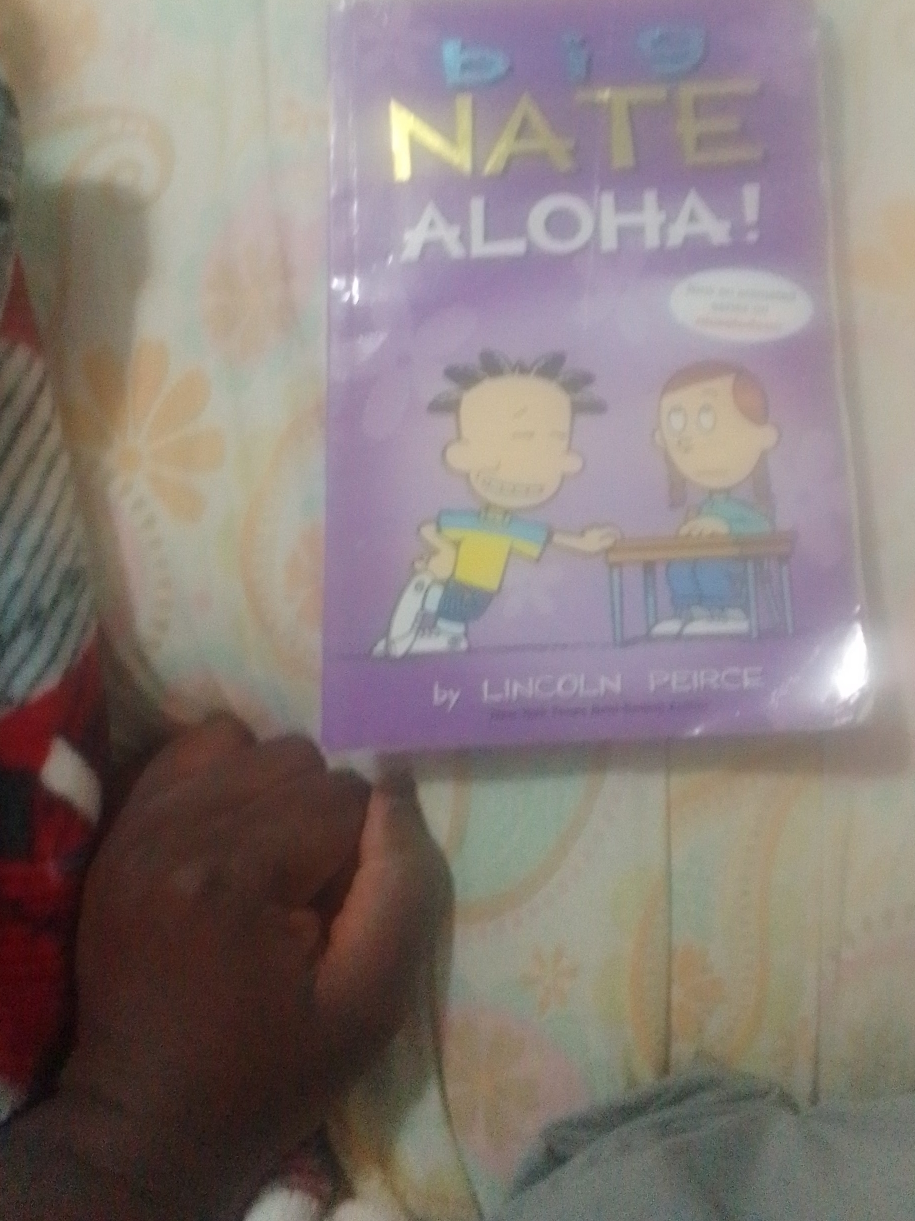 Big Nate: Aloha! by Lincoln Peirce thumbnail