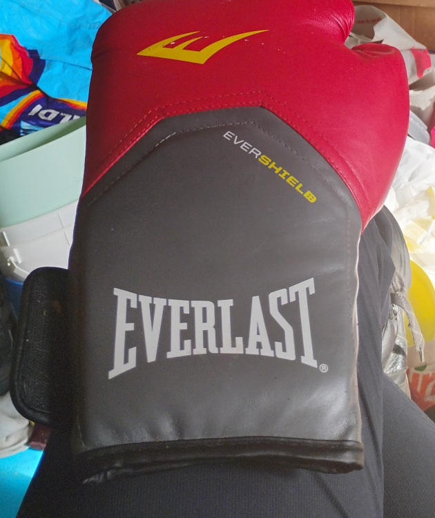 Everlast EverShield Boxing Gloves set thumbnail