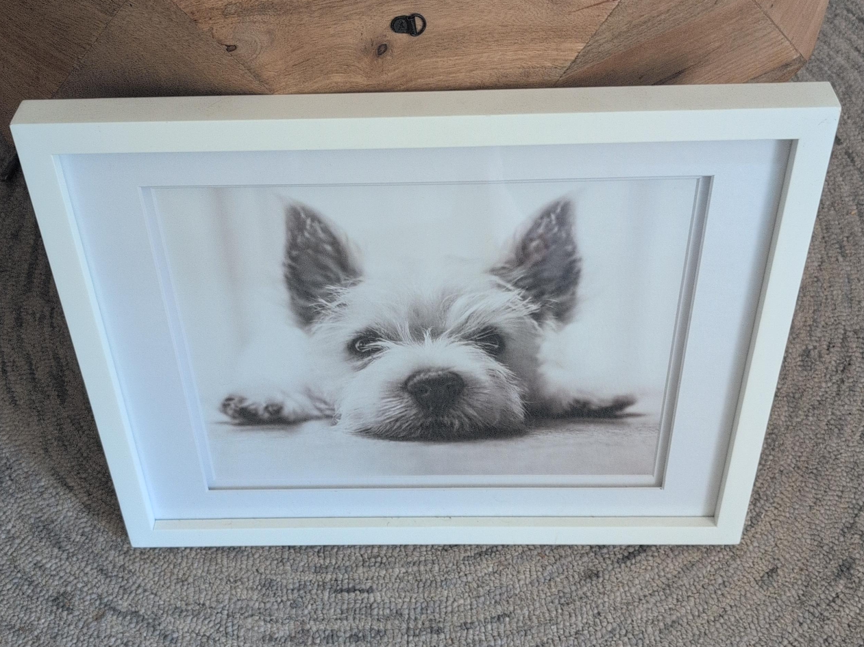 Dog Print in White Frame thumbnail