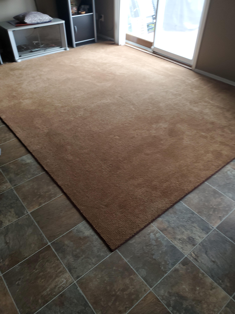 Brown Area Rug 🇨🇦 thumbnail