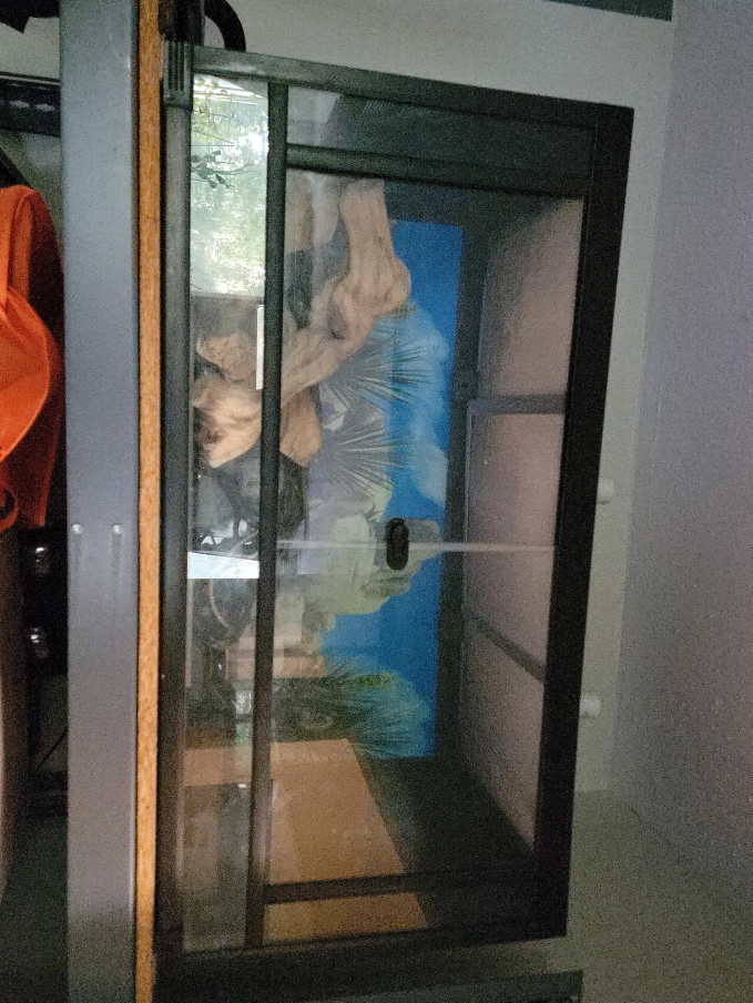 Glass Terrarium Enclosure