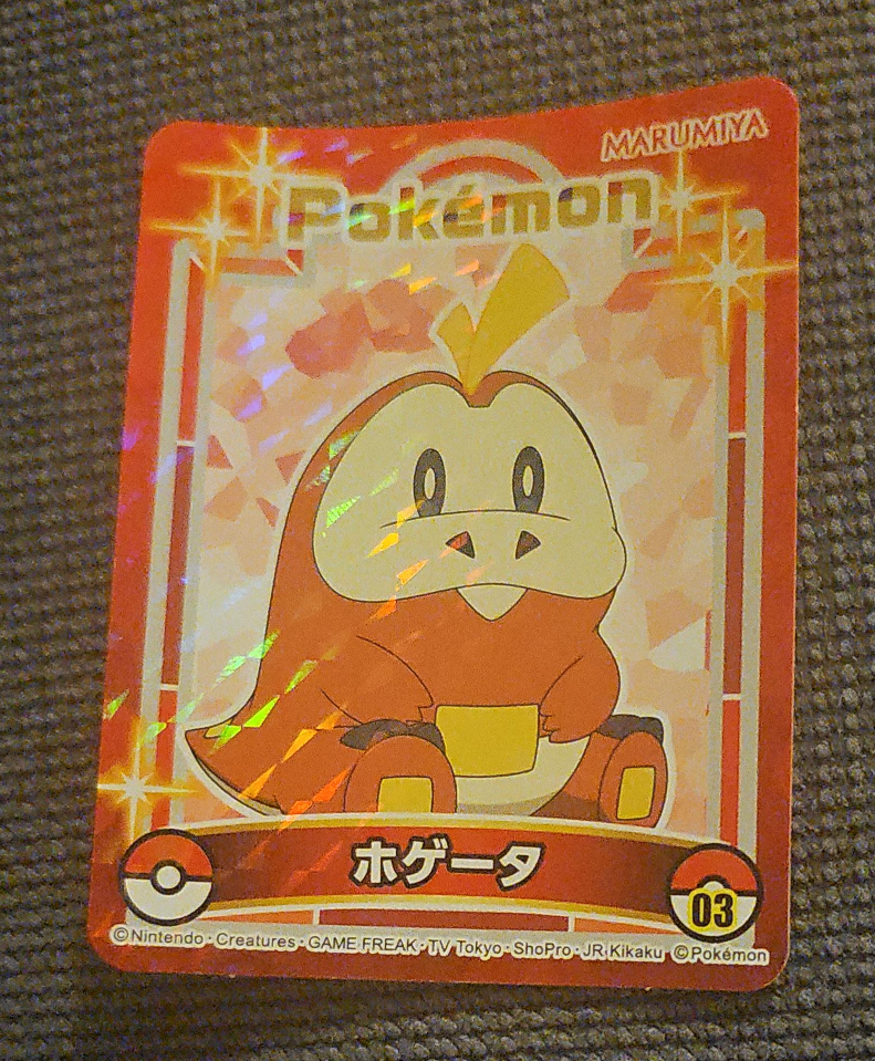 Pokemon Card - Hogeta