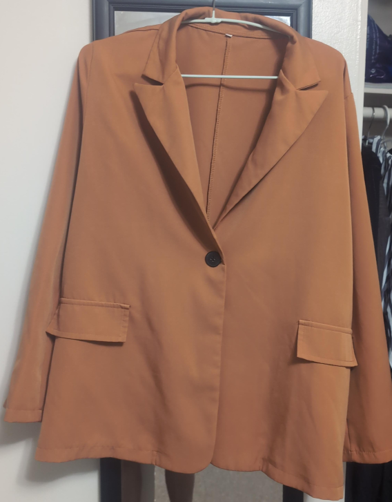 Brown Blazer thumbnail