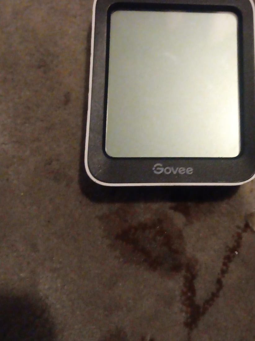 Govee Temperature Humidity Monitor thumbnail