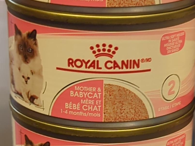 Royal Canin Mother & Babycat Wet Food thumbnail