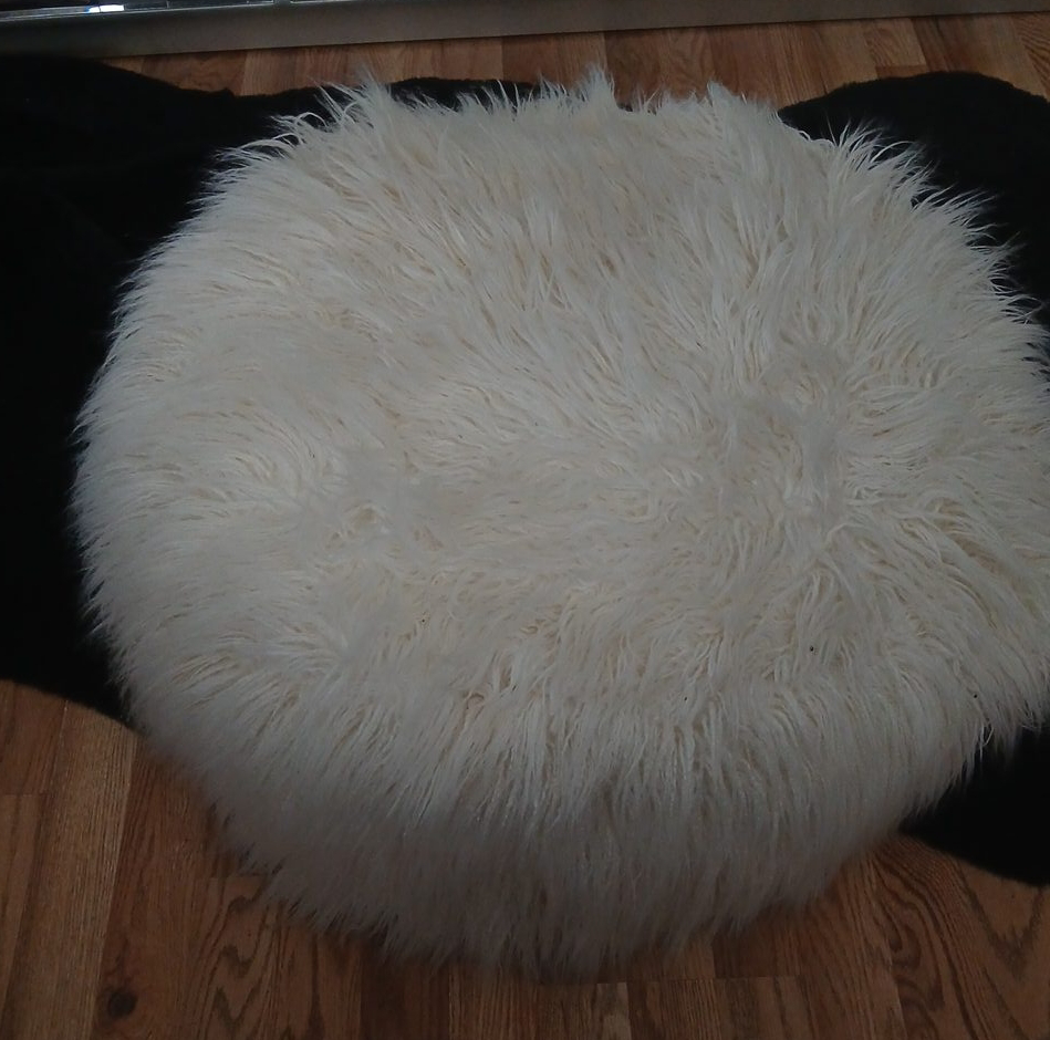 Faux Fur Bean Bag thumbnail