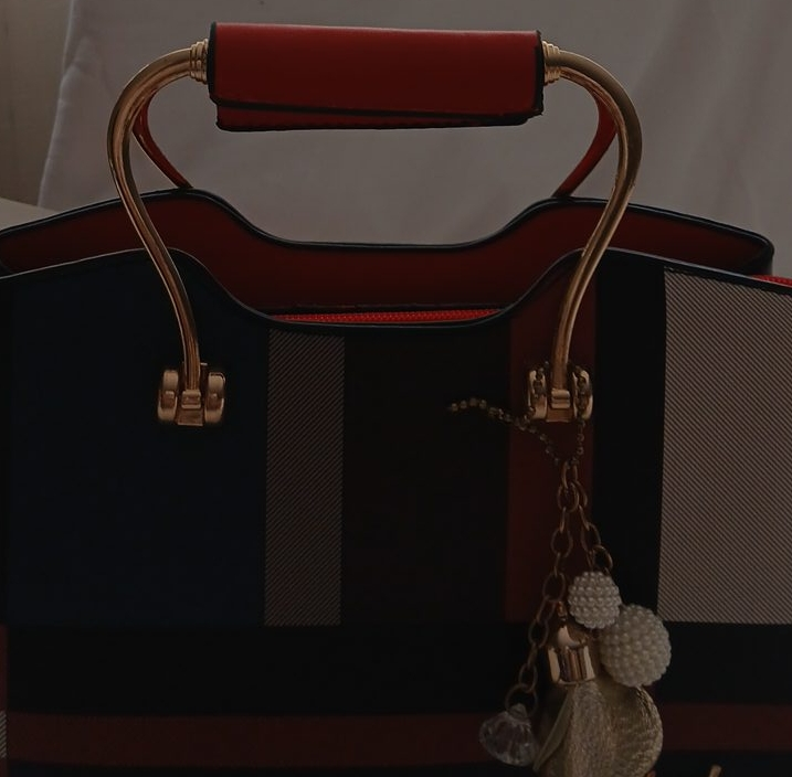 Dunwooly Plaid Tote Bag with Red Trim thumbnail