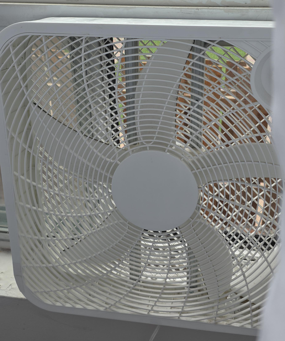 White Box Fan thumbnail