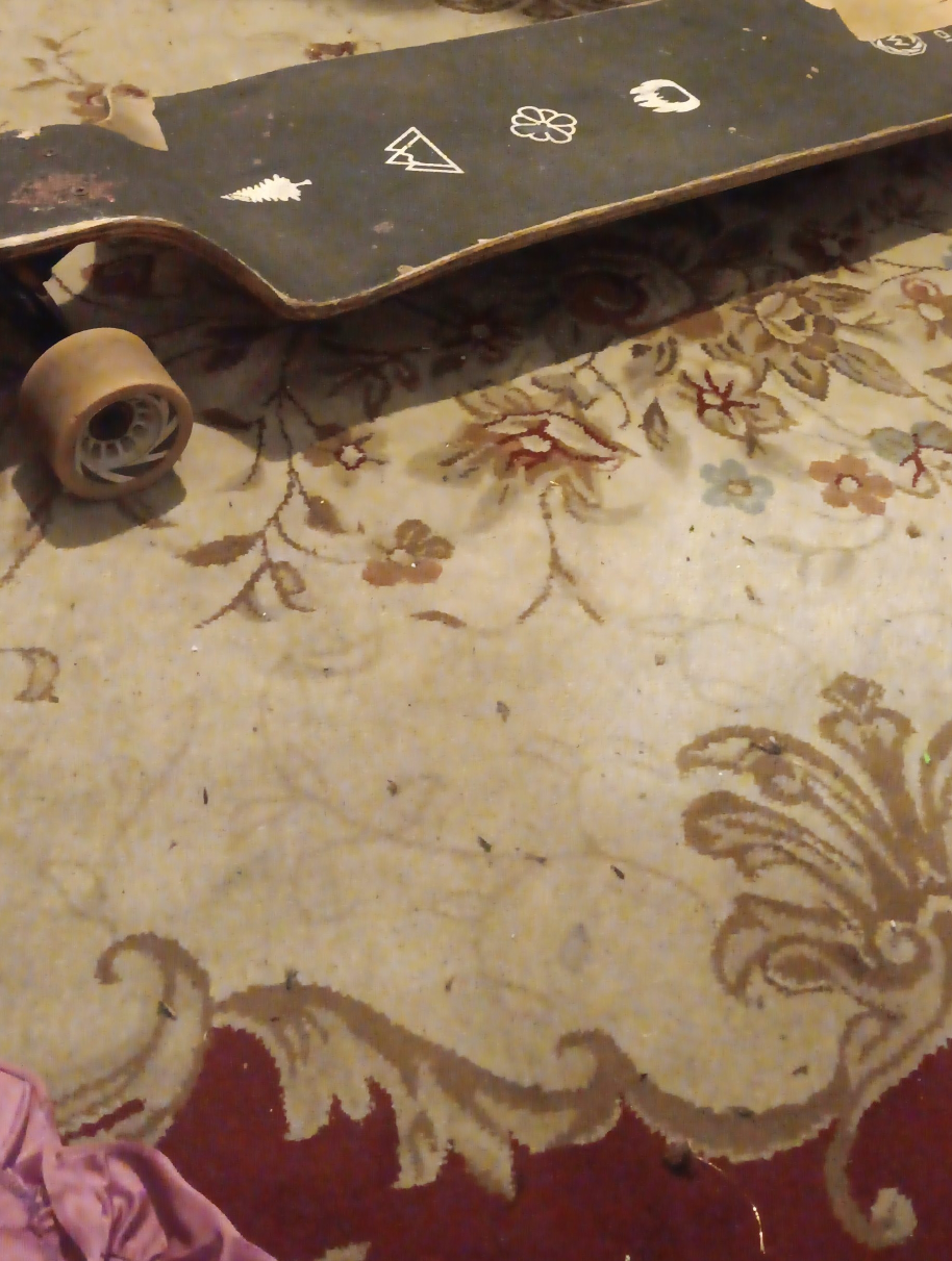Used Longboard Skateboard thumbnail