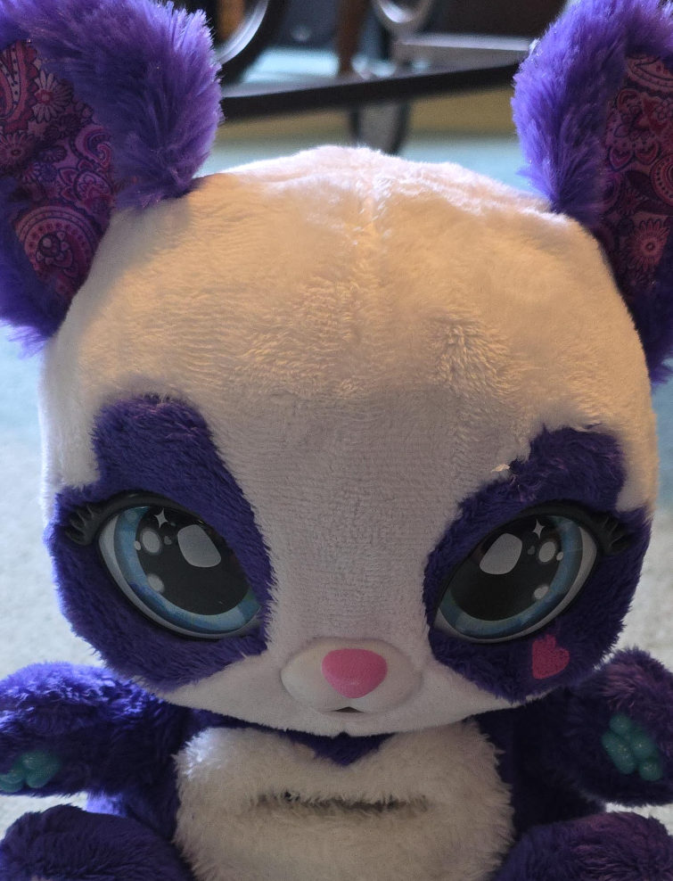 Peek A Roo Panda thumbnail
