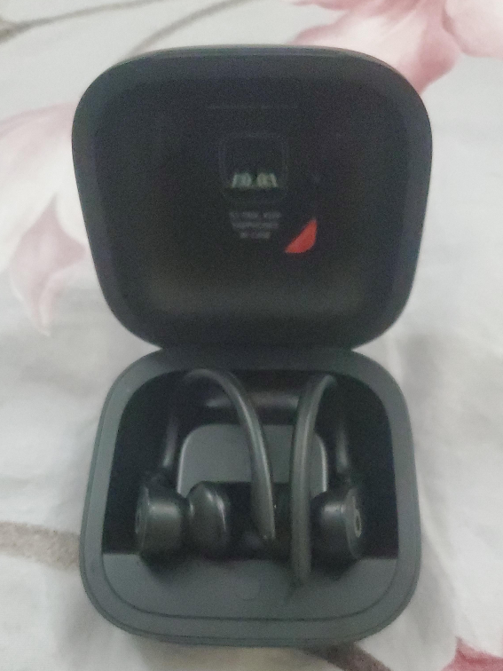 Beats Powerbeats Pro Wireless Earphones - Black