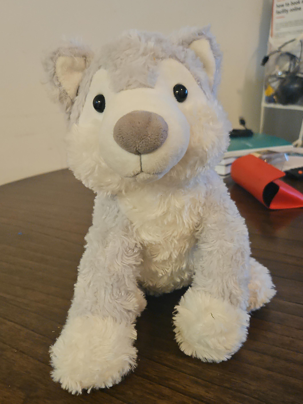 husky toy for kids thumbnail
