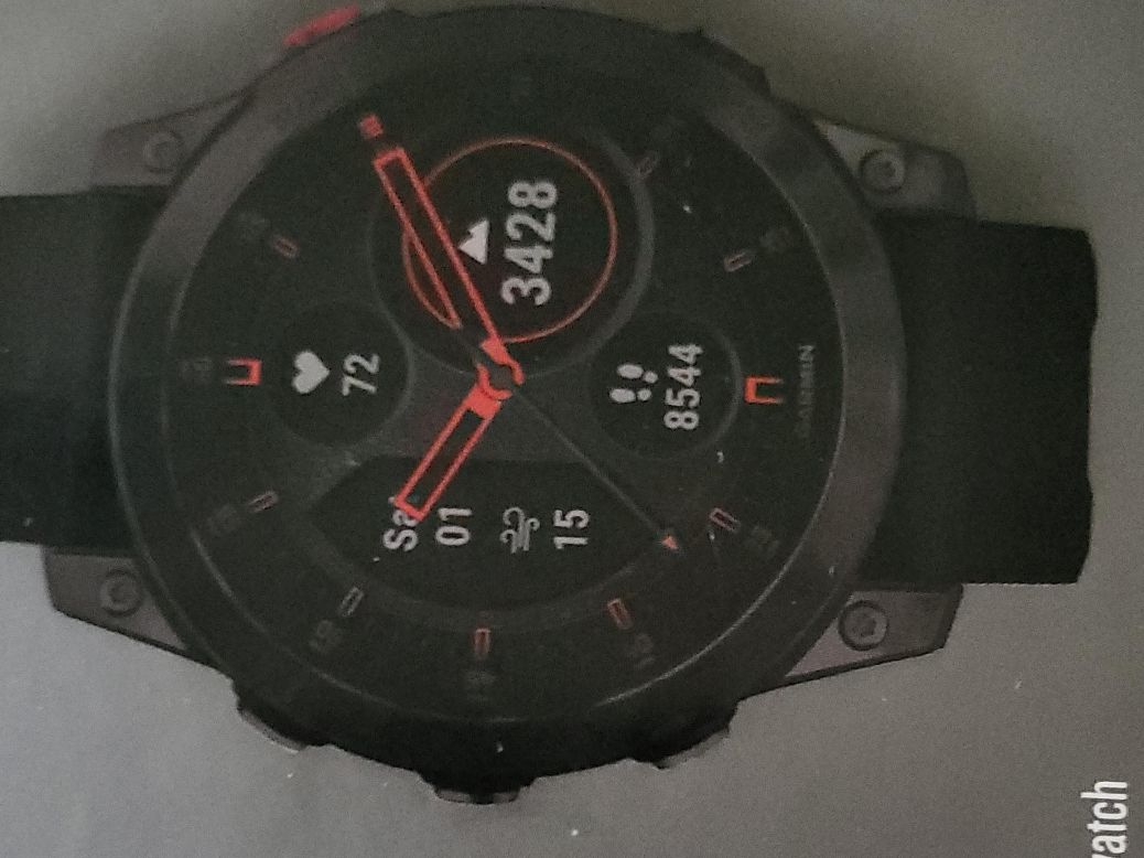 Garmin Smartwatch