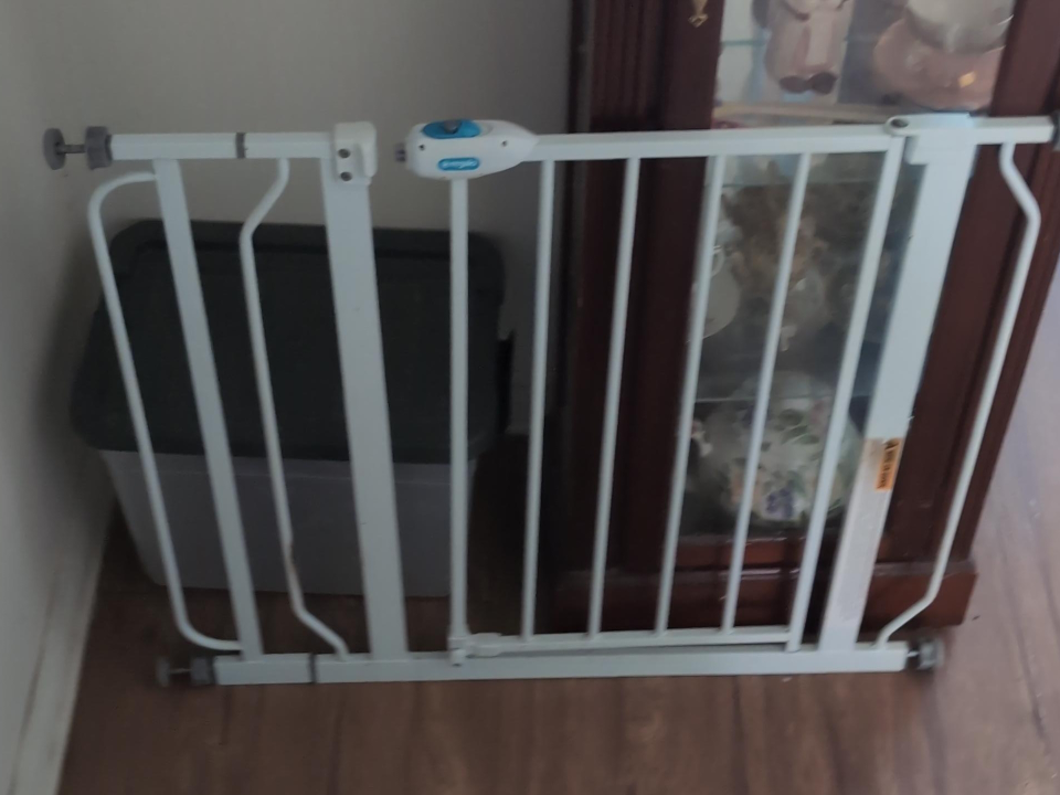 Evenflo Easy Walk-Thru Baby Gate