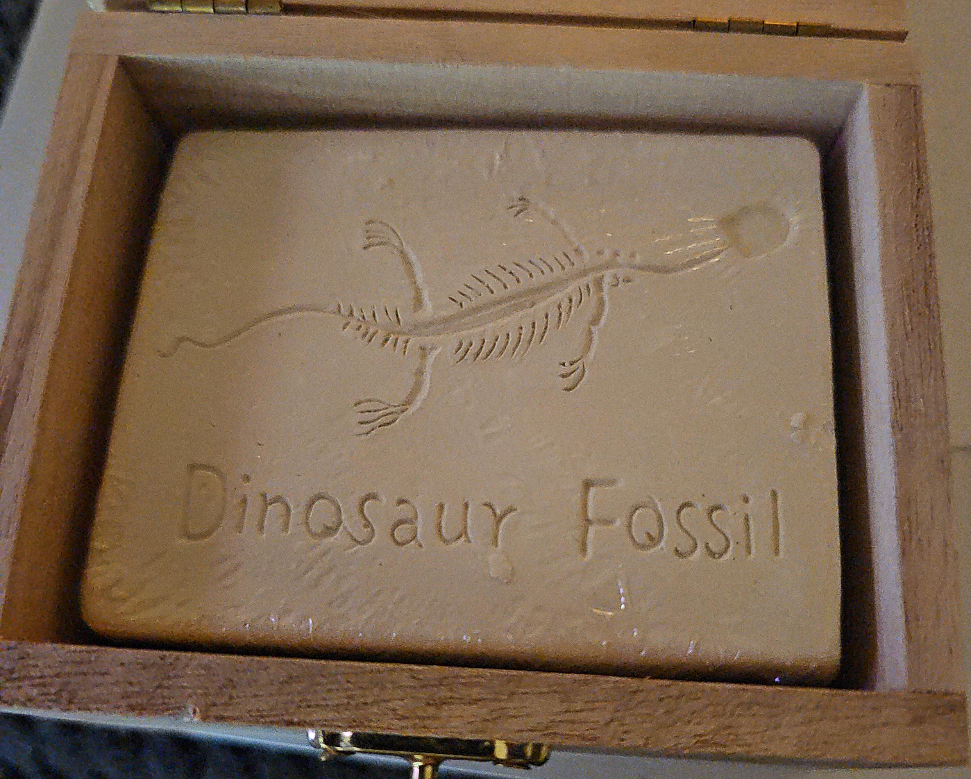 Dinosaur Fossil Kit in Wooden Box thumbnail