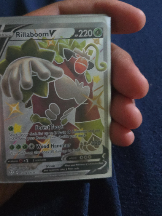 Rillaboom V Pokemon Card