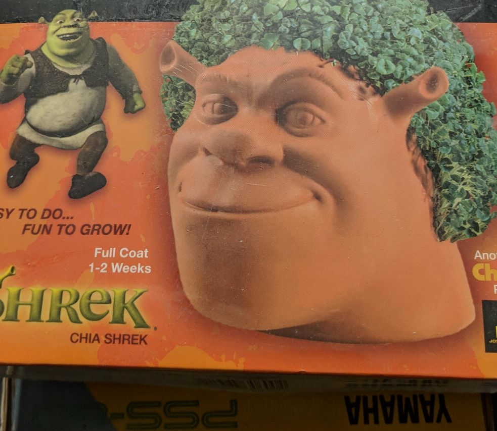 Chia Pet Shrek - rare new in sealed boxed