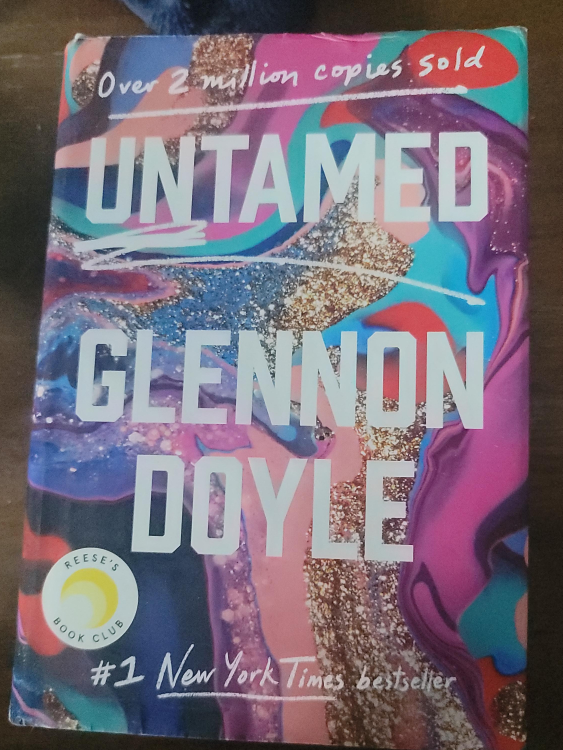 Untamed by Glennon Doyle thumbnail