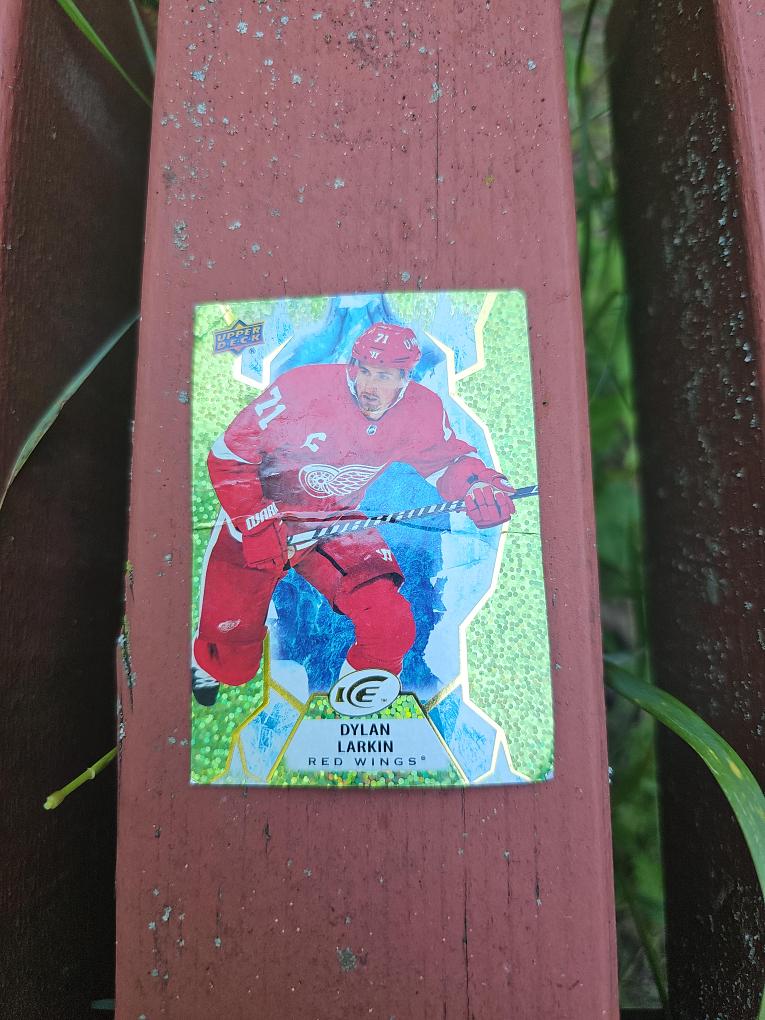 Dylan Larkin Red Wings Upper Deck Ice Hockey Card thumbnail