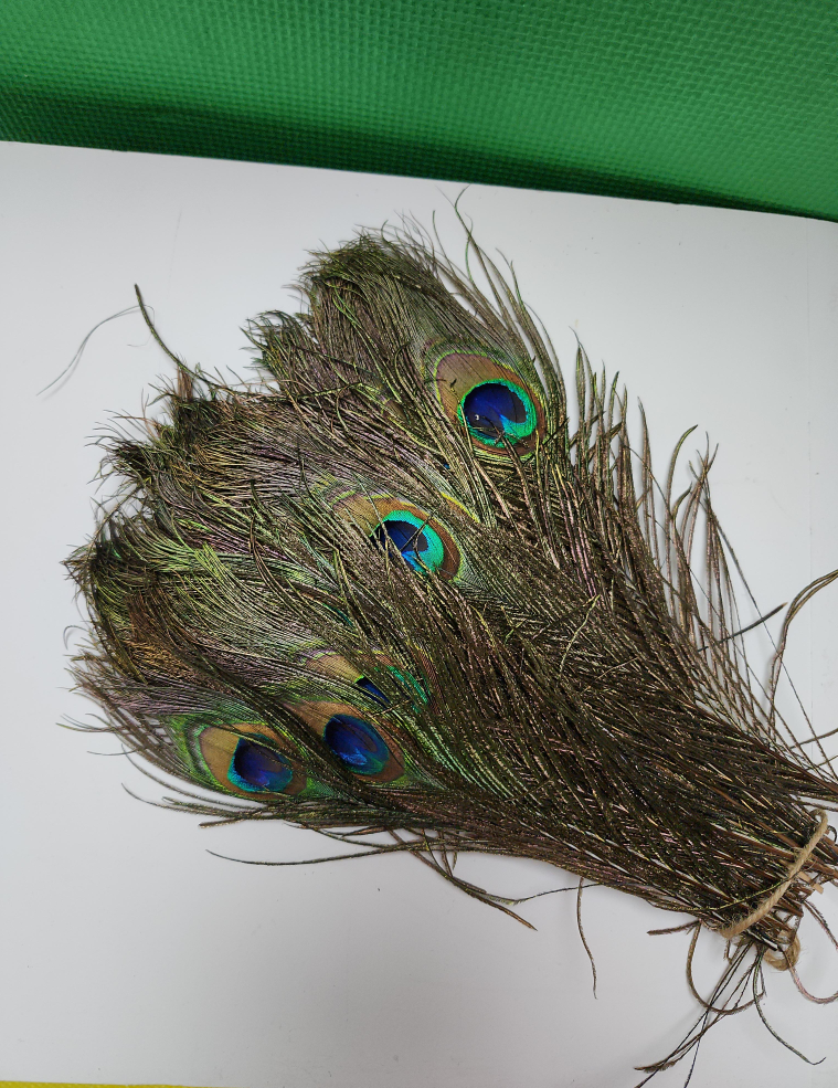 Real Peacock Feathers, Available over 100pcs. thumbnail