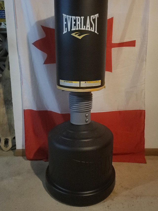 Everlast Freestanding Punching Bag thumbnail