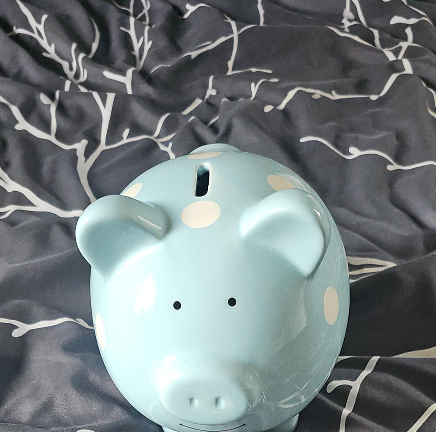 Cute Piggy Bank - one Blue one grey thumbnail