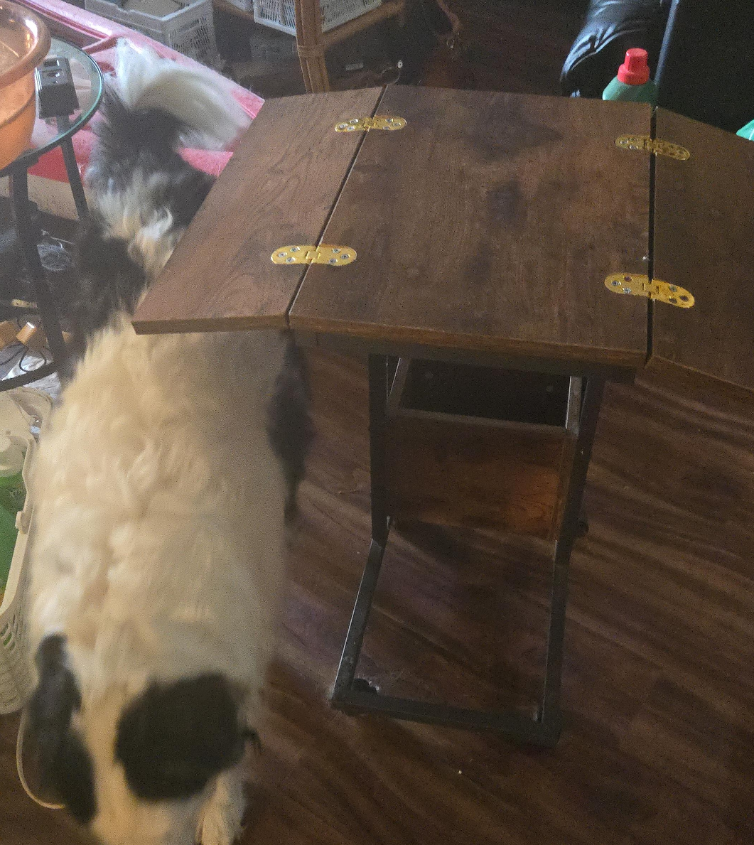 Folding Side Table