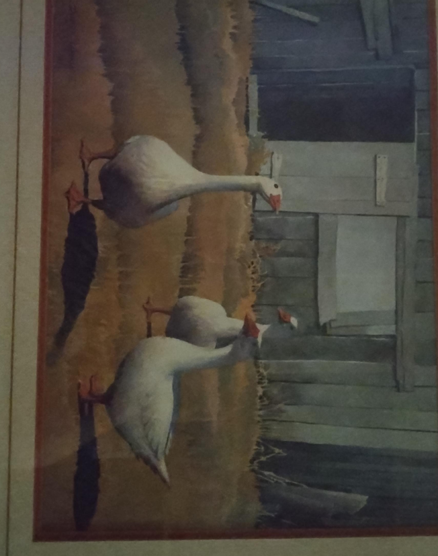3 Geese thumbnail