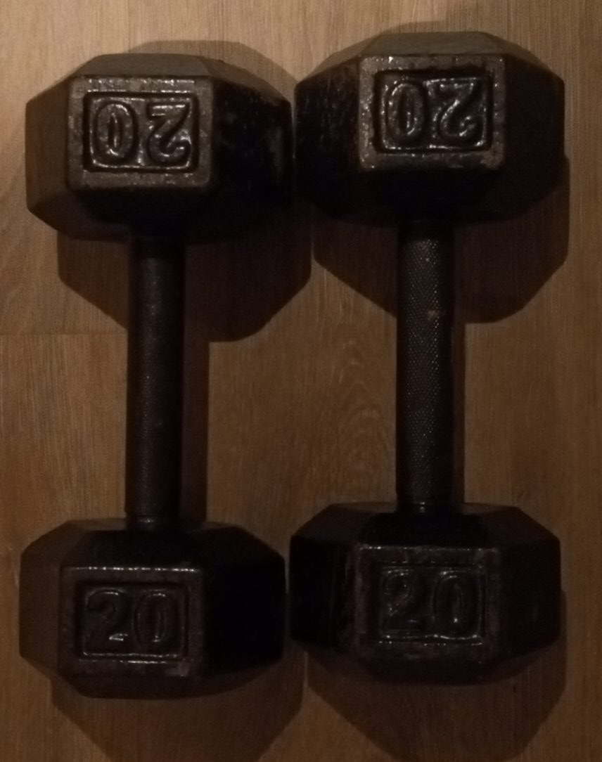 Pair of 20 lb Dumbbells image indicator(2)