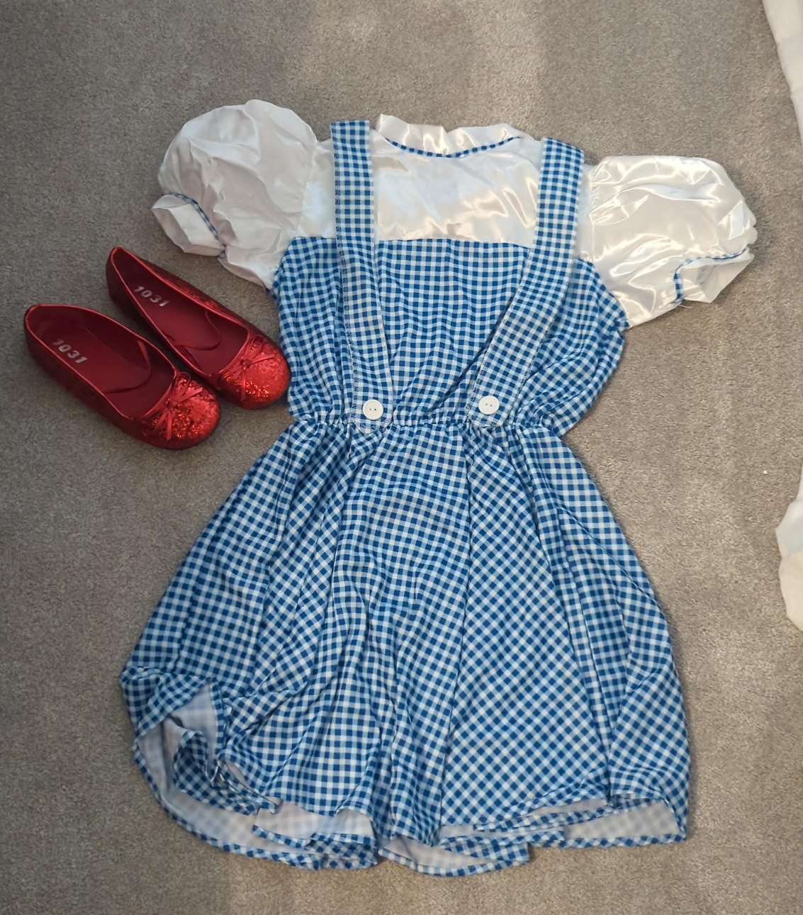 Dorothy Wizard of Oz Costume with Ruby Slippers thumbnail