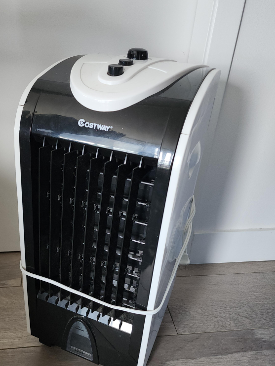 Costway Portable Air Cooler - Great Condition!