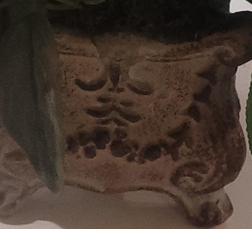 Decorative planter thumbnail