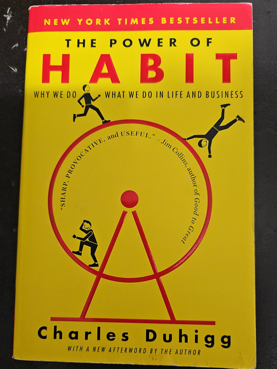 The Power of Habit by Charles Duhigg thumbnail