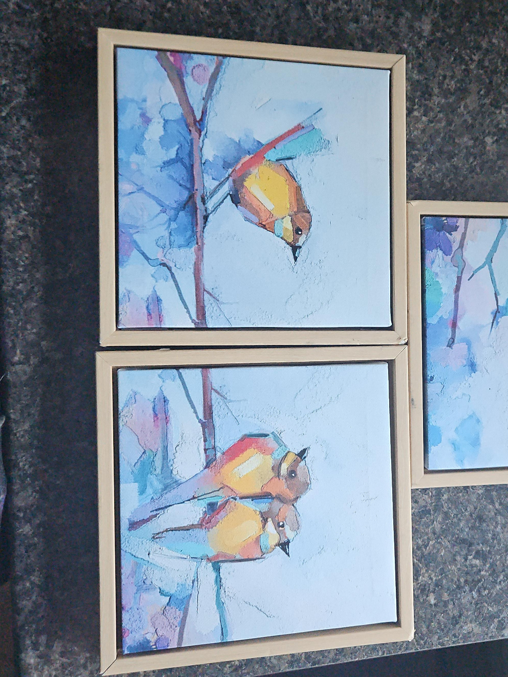 Bird Painting Canvas Art - Set of 3 thumbnail