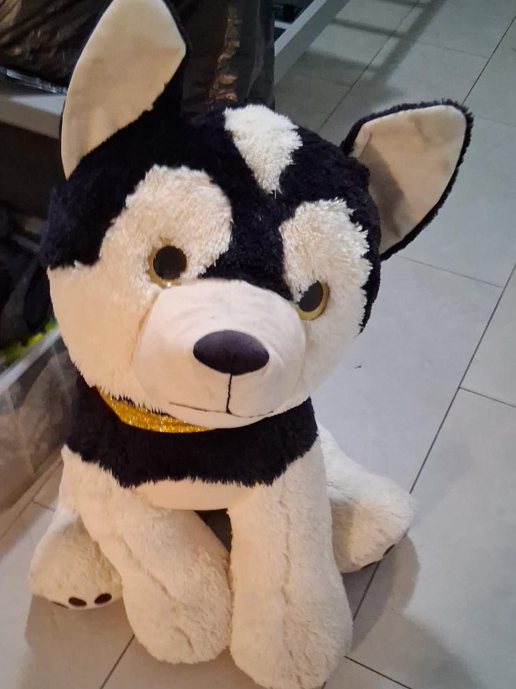 Husky Dog Plush Toy