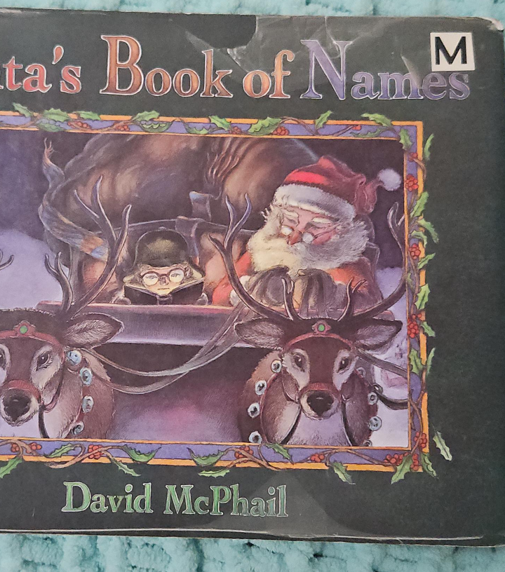 Santa's Book of Names by David McPhail thumbnail