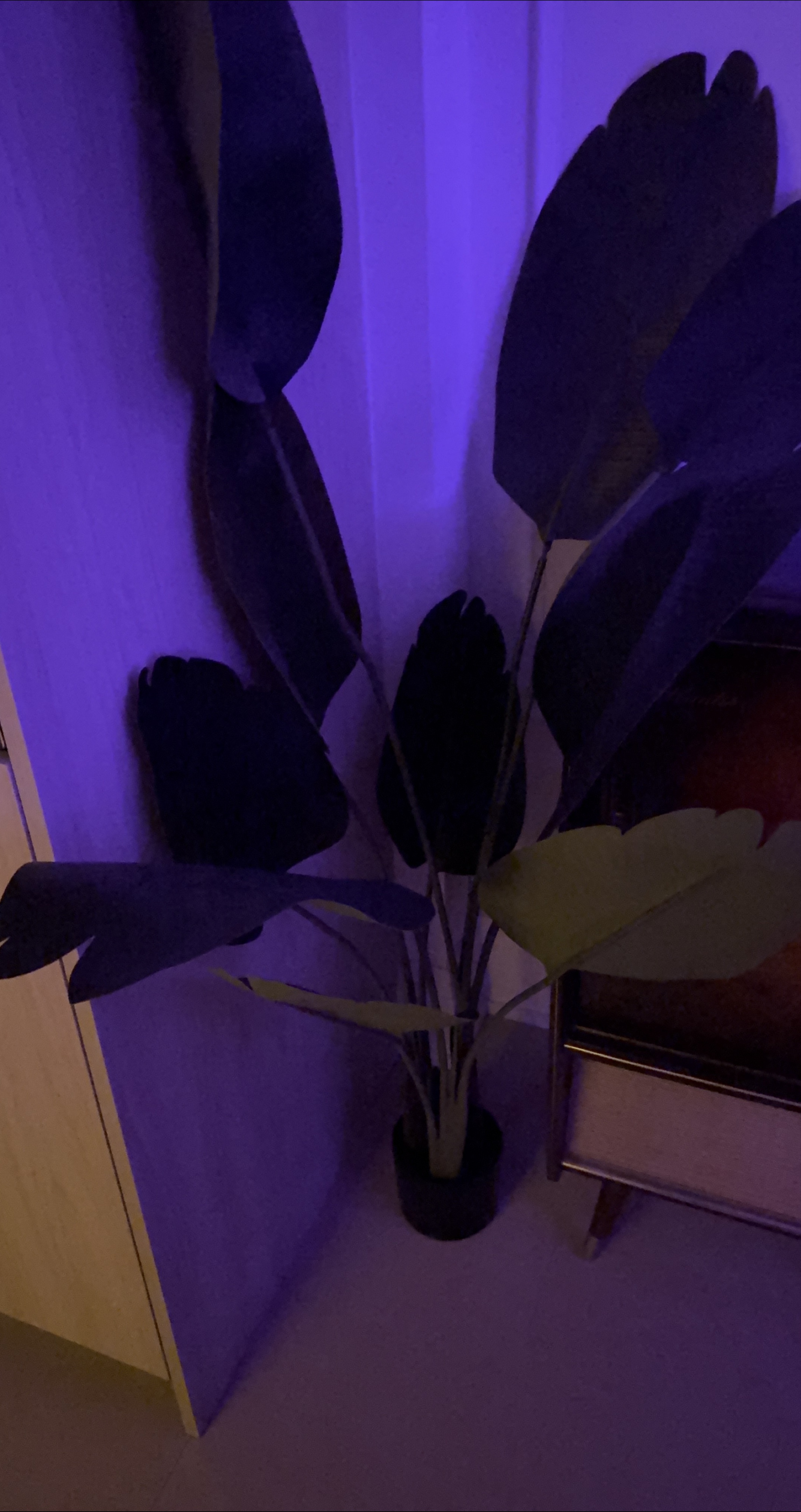 2 artifical bird of paradise plants