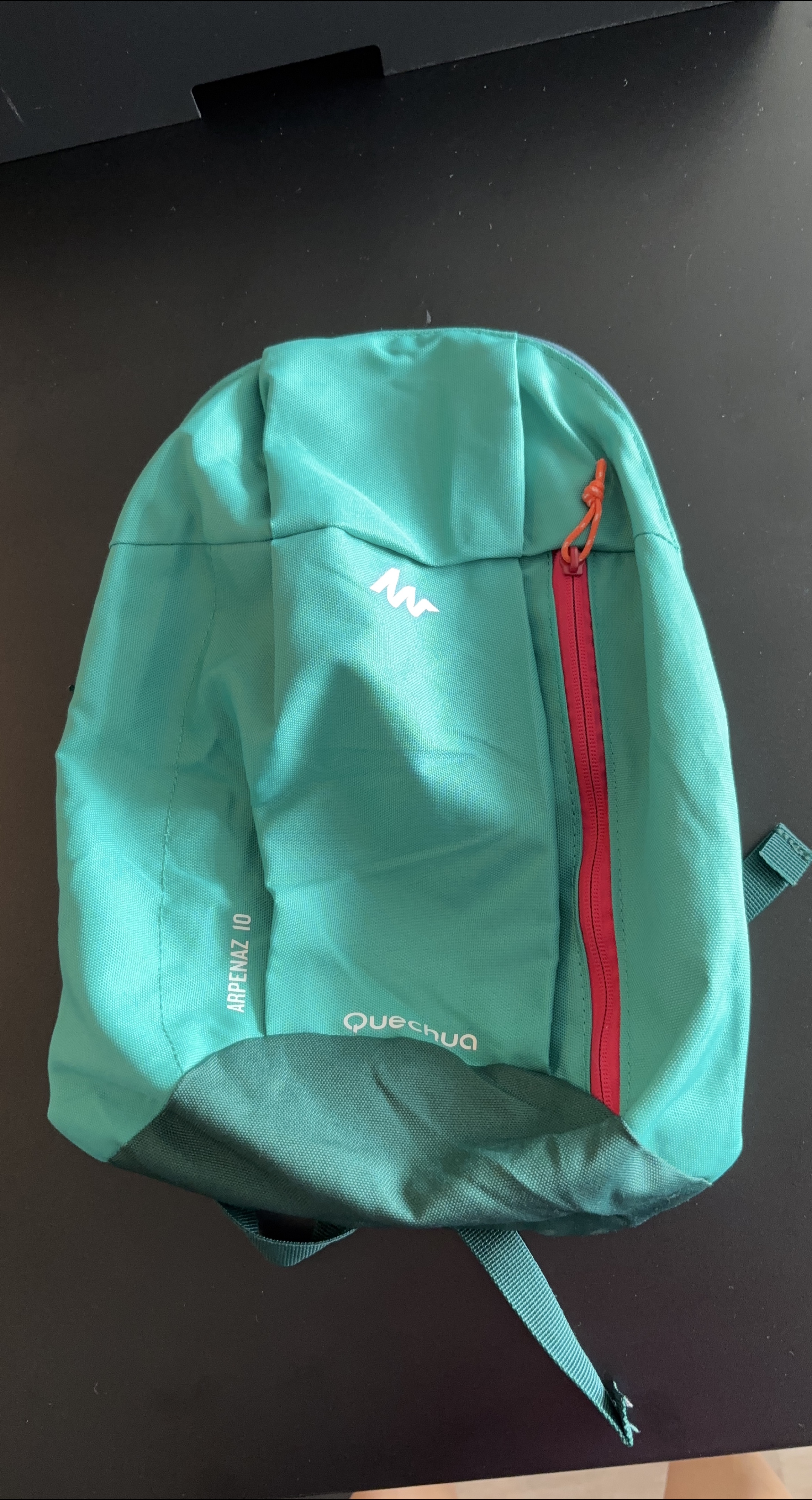 Quechua Arpenaz 10 Backpack - Turquoise thumbnail