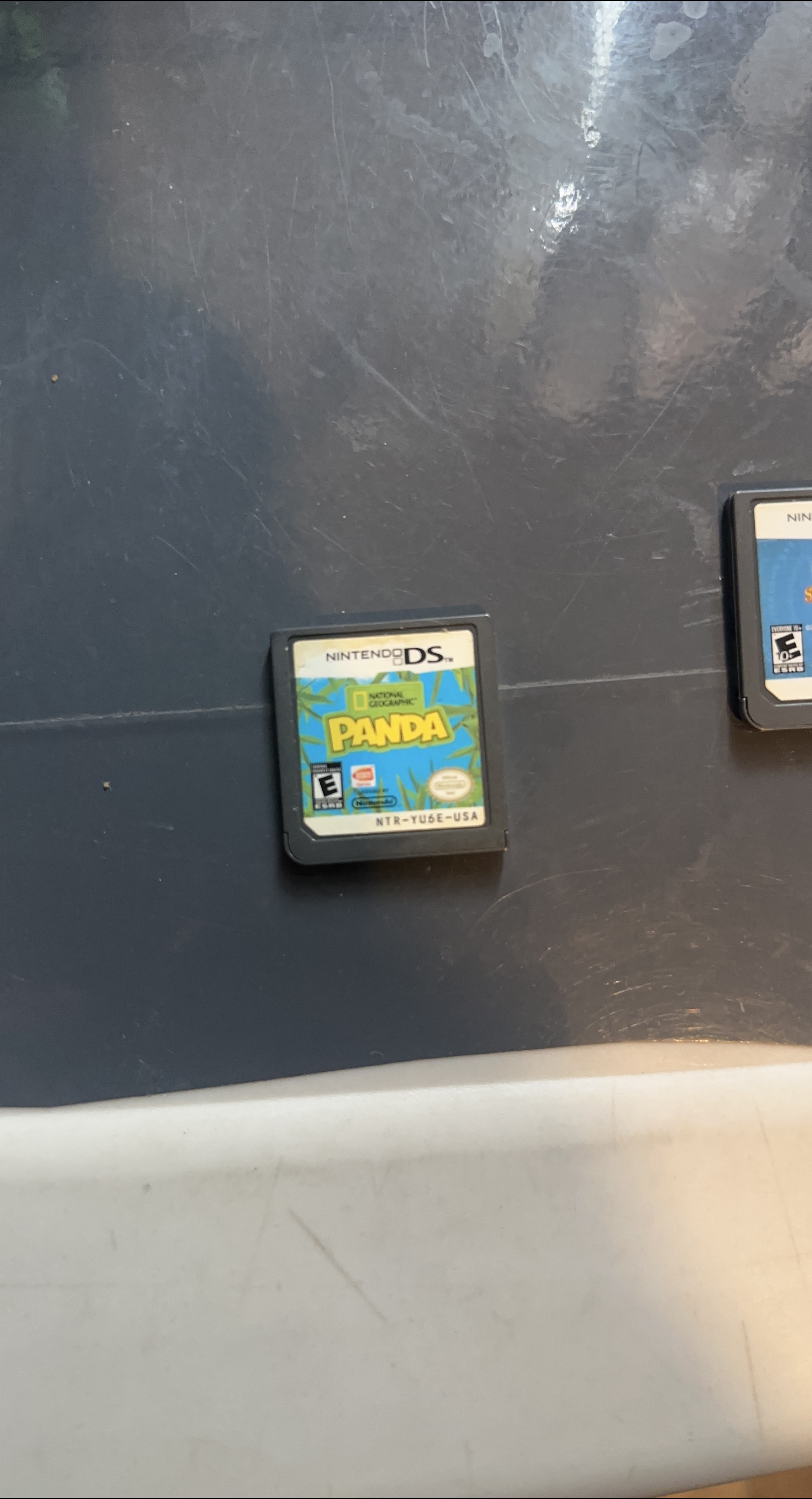 Nintendo DS National Geographic Panda Game thumbnail