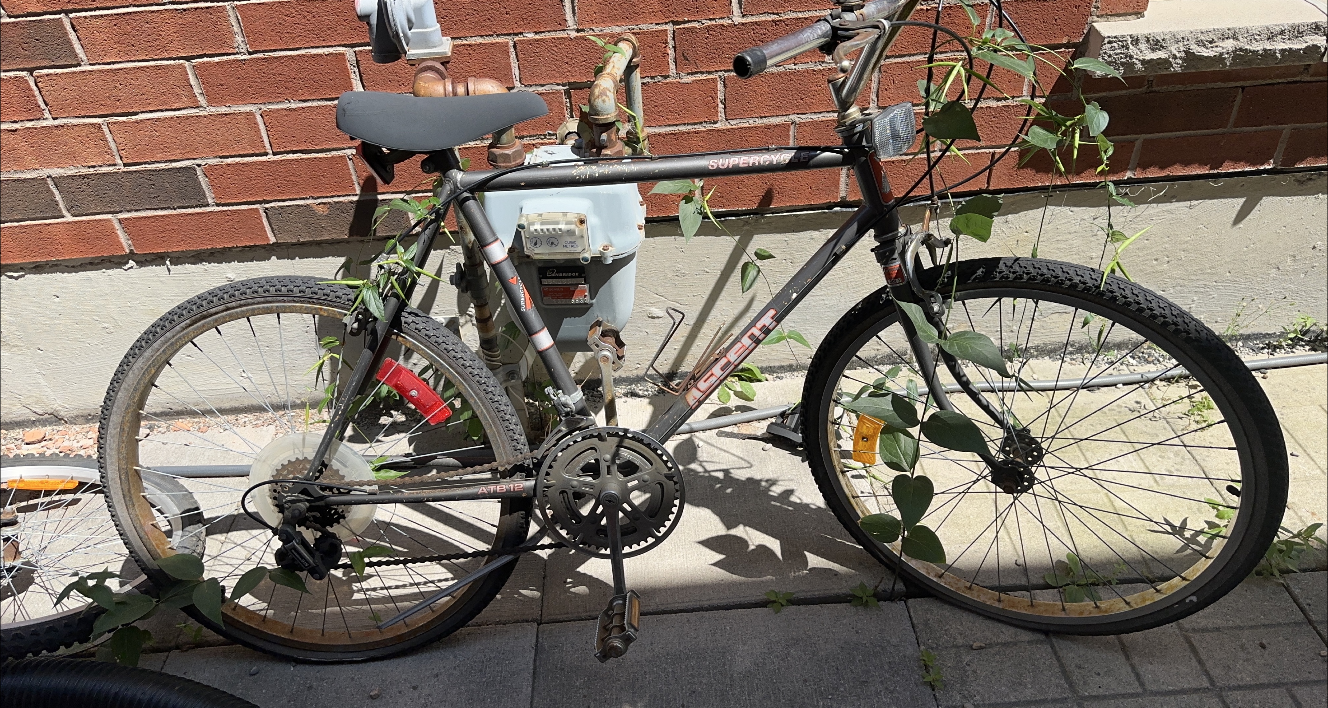 Supercycle Ascent ATB12 Bike thumbnail