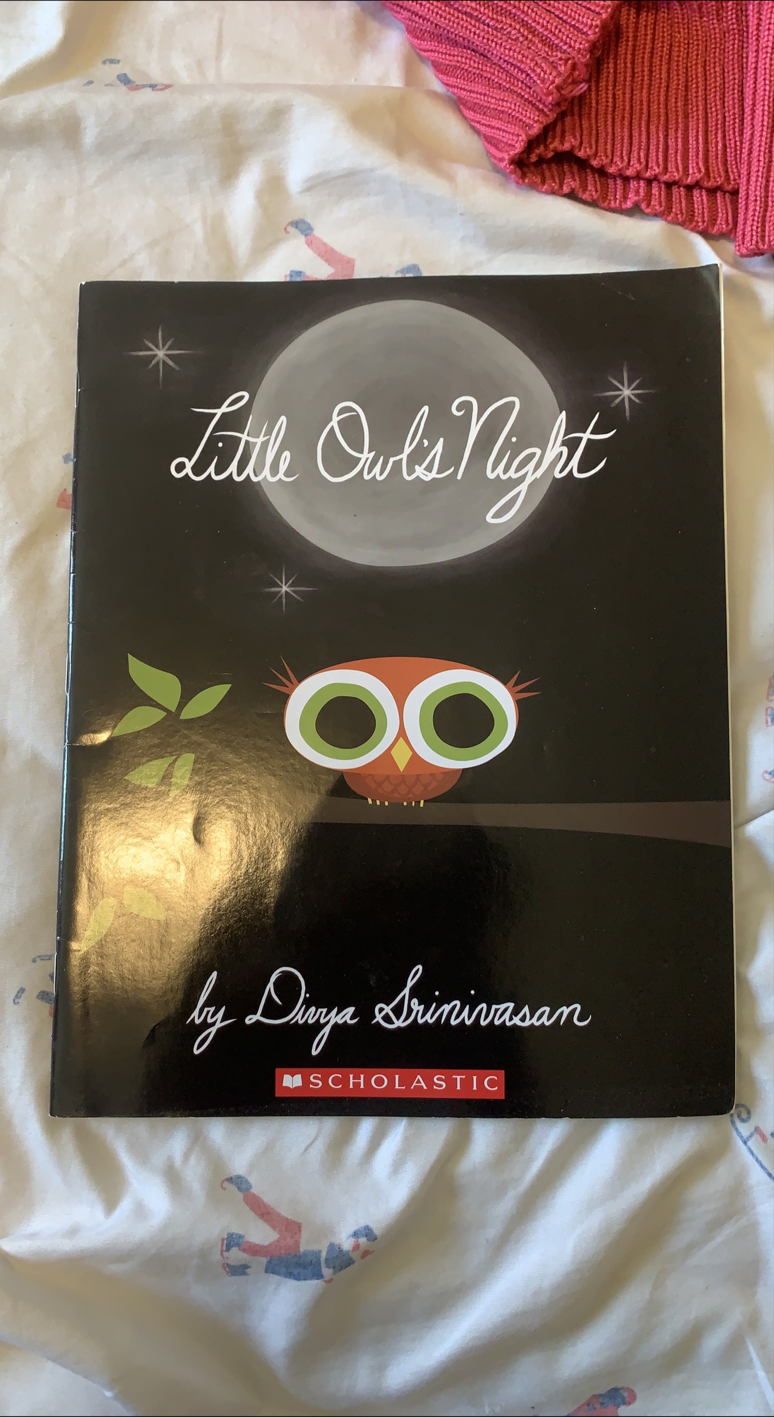 Little Owl's Night by Divya Srinivasan thumbnail