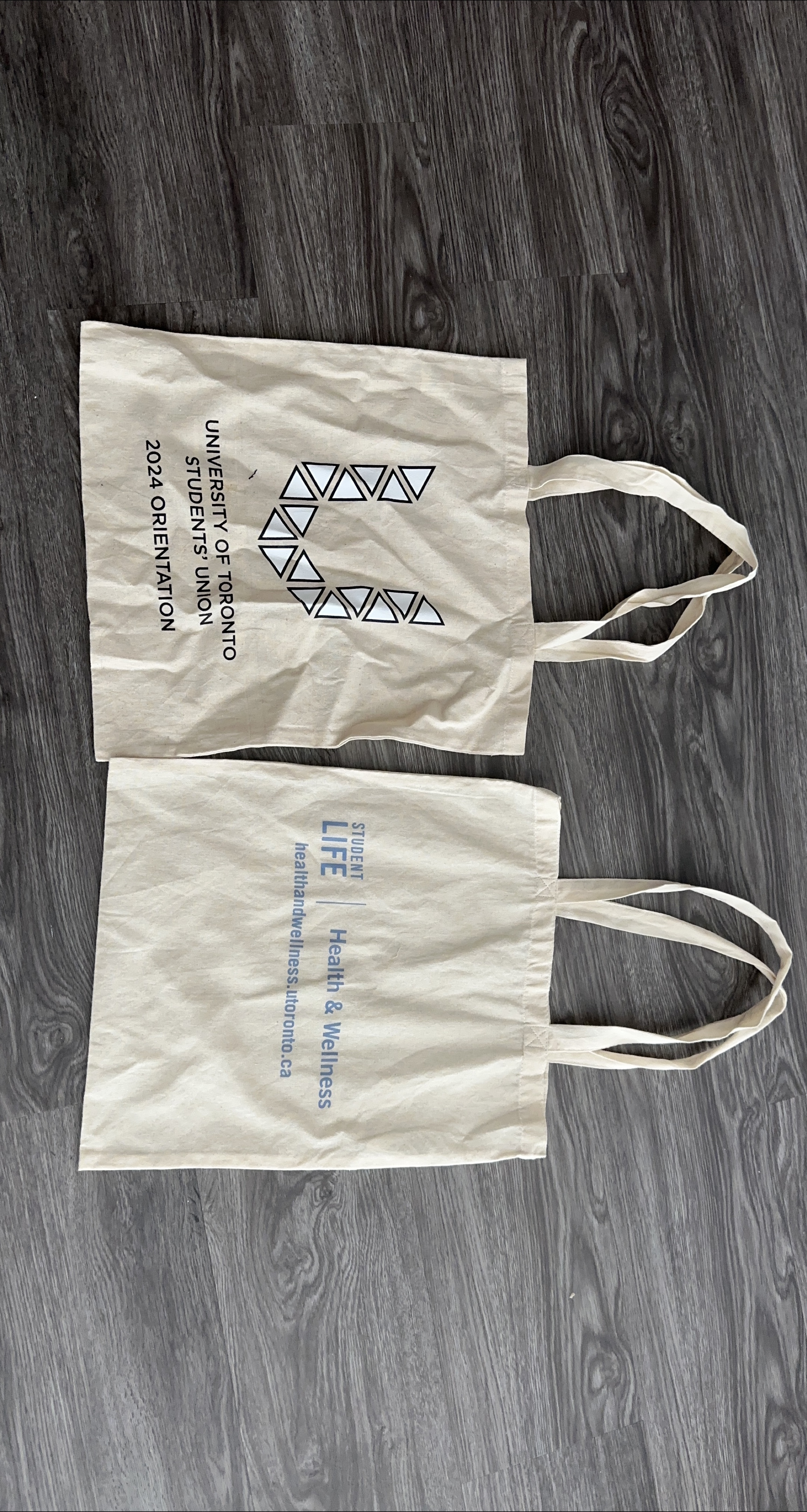 ‼️MOVE OUT SALE‼️ UofT Tote Bags thumbnail