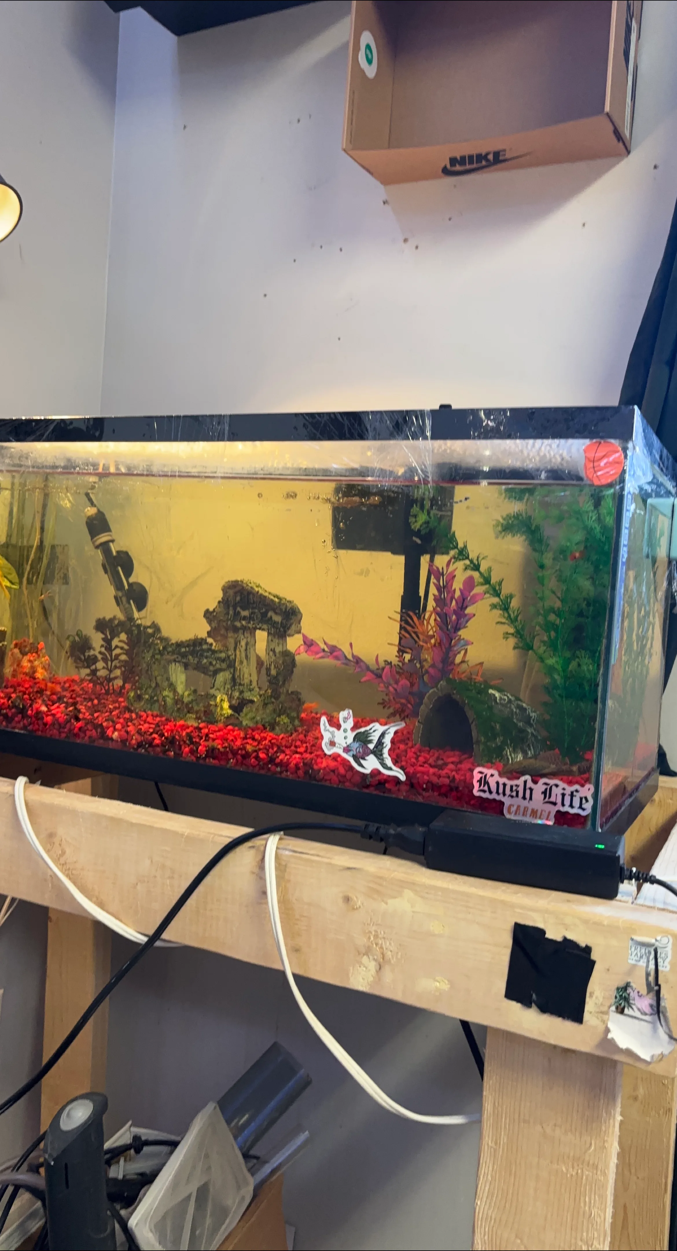 Fish tank with accessories