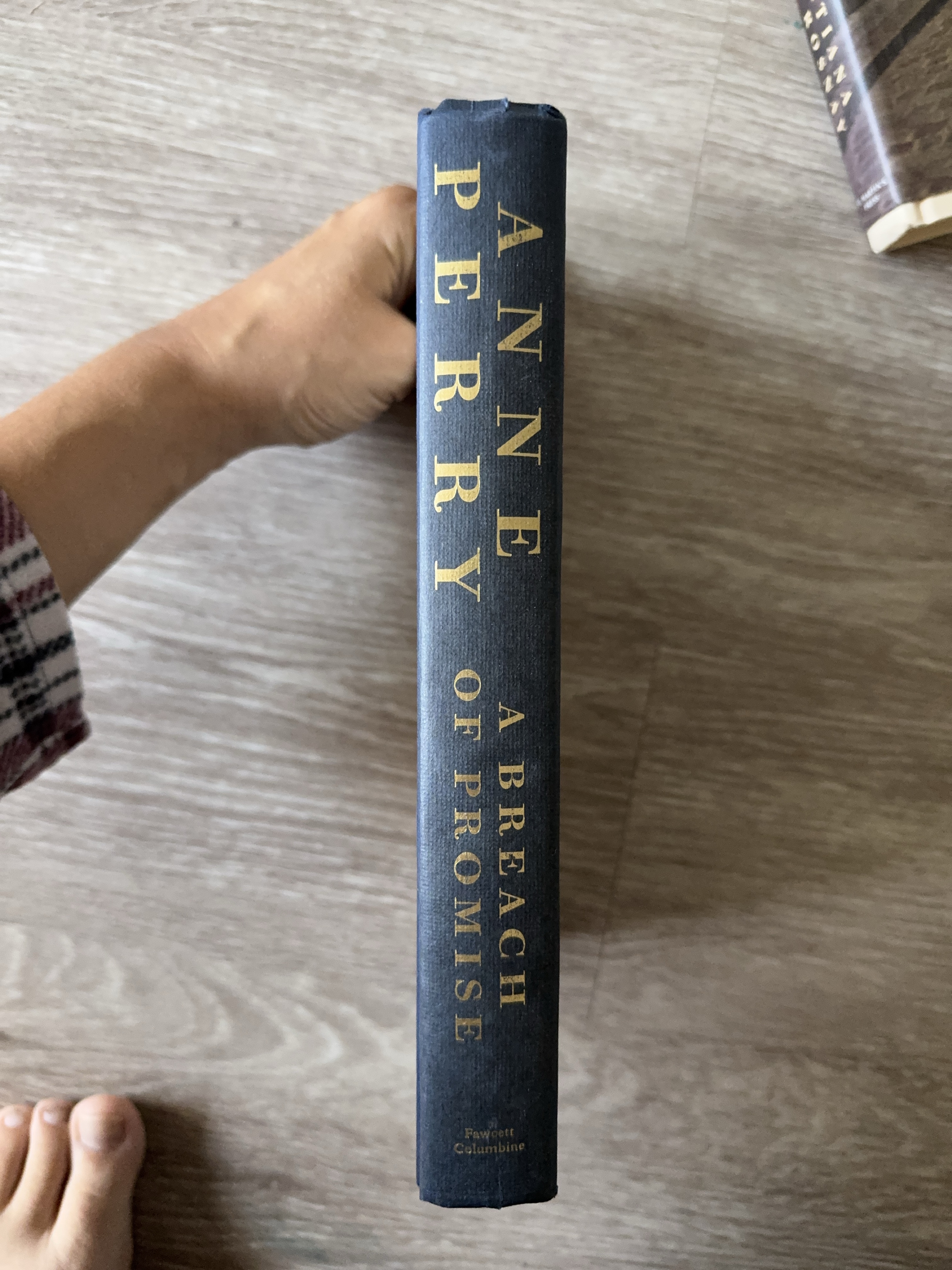 Anne Perry: A Breach of Promise thumbnail