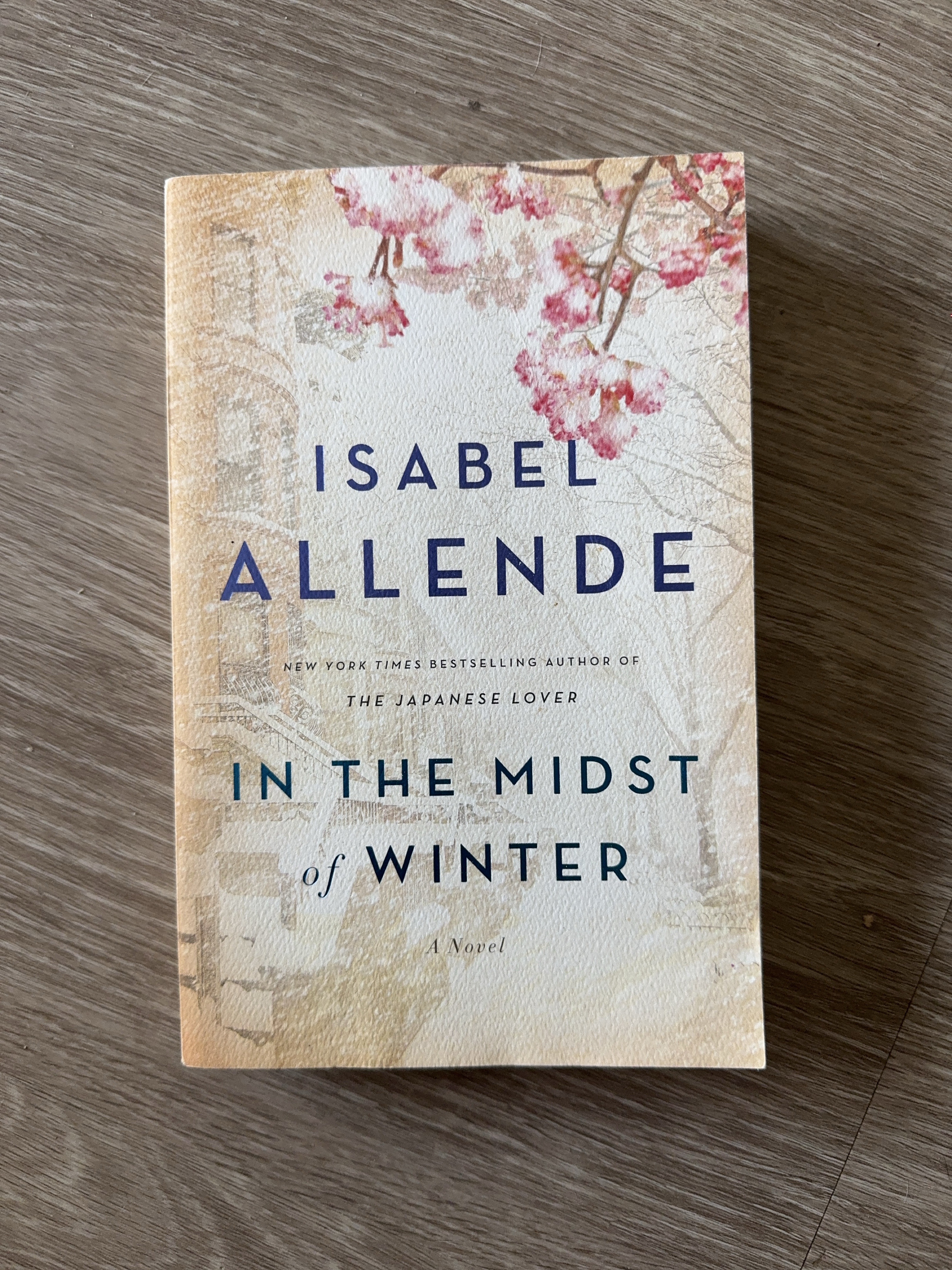 In the Midst of Winter by Isabel Allende thumbnail