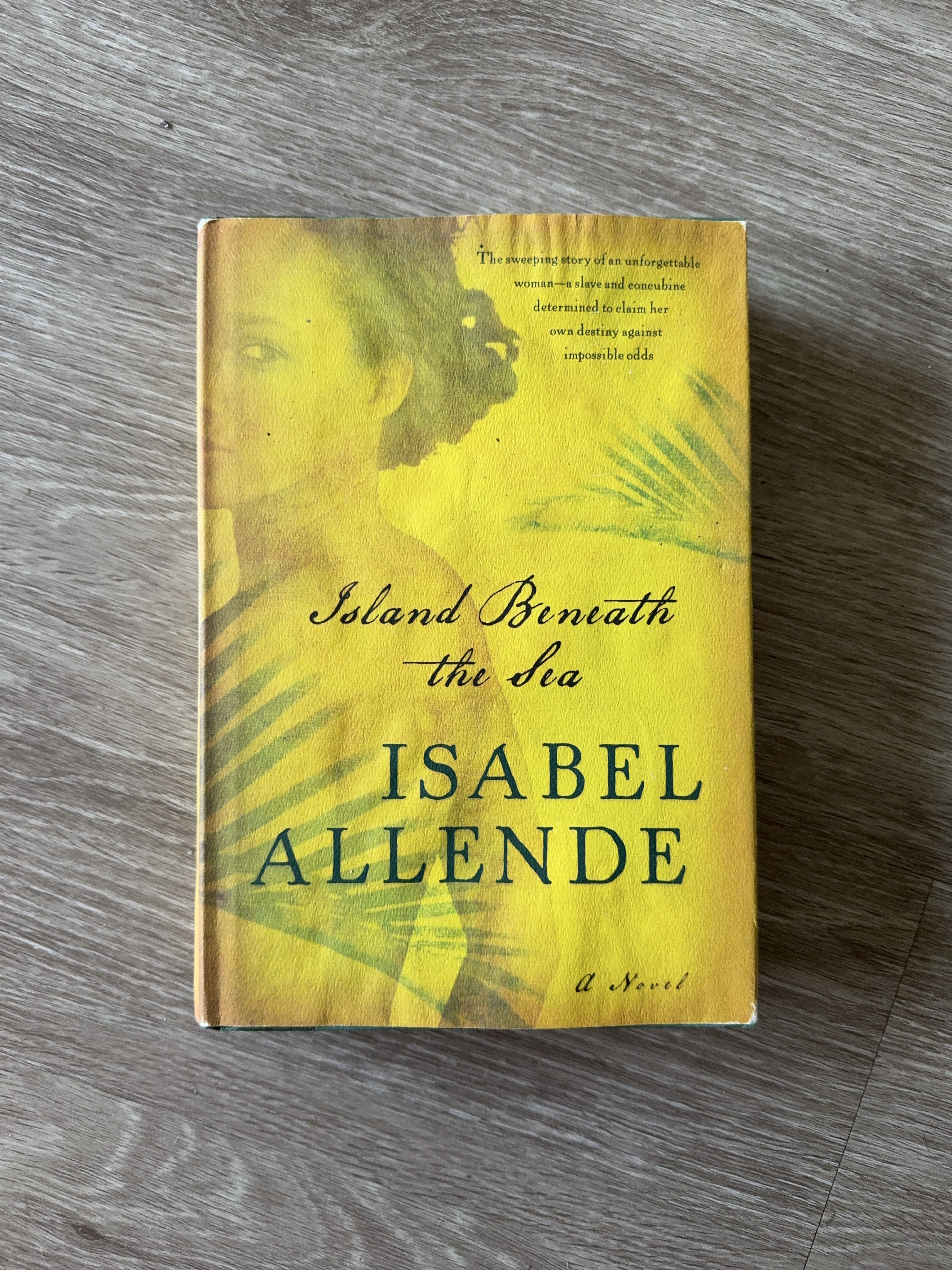 Island Beneath the Sea by Isabel Allende thumbnail