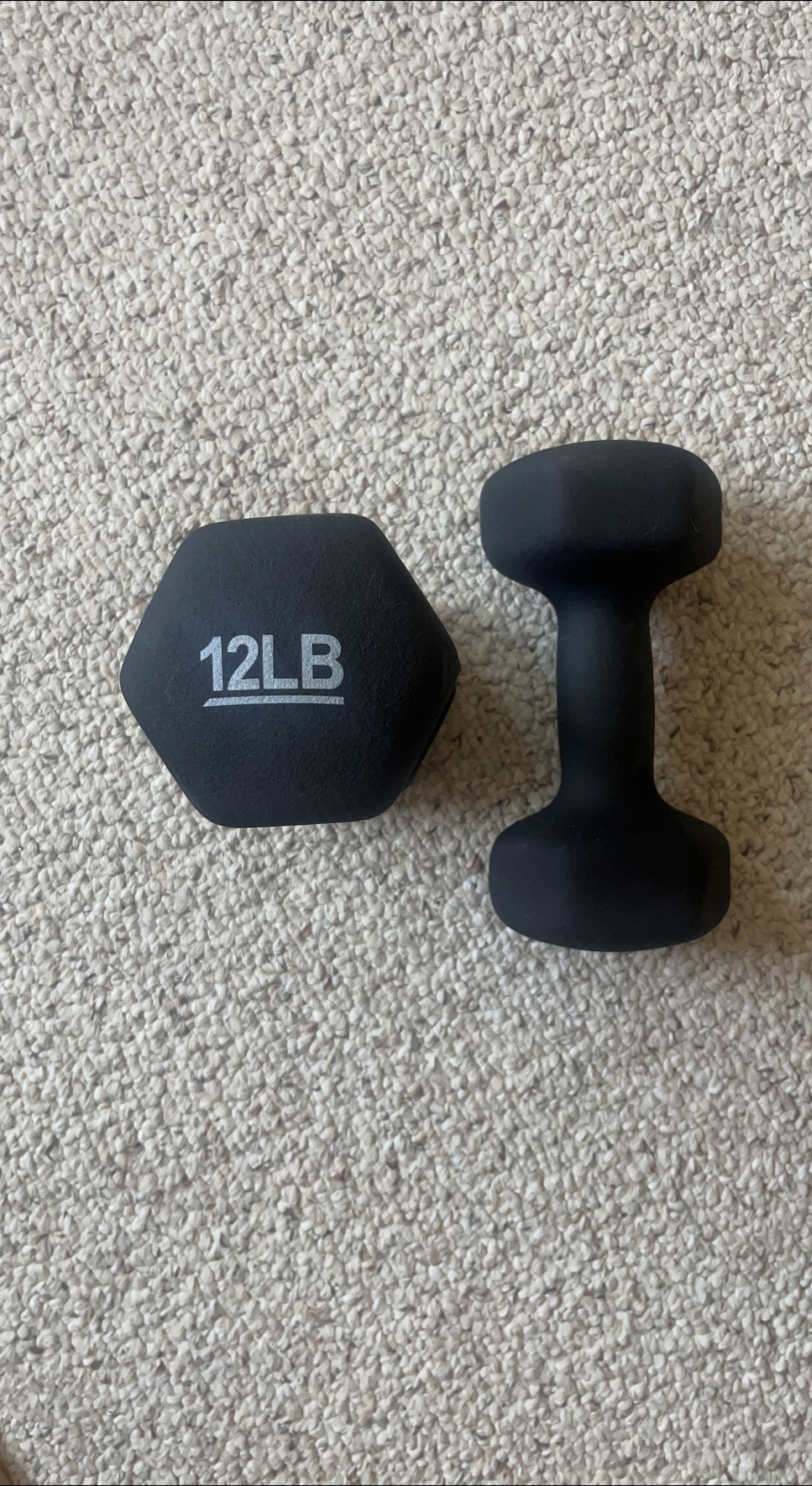12LB Dumbbells - Great Condition! thumbnail