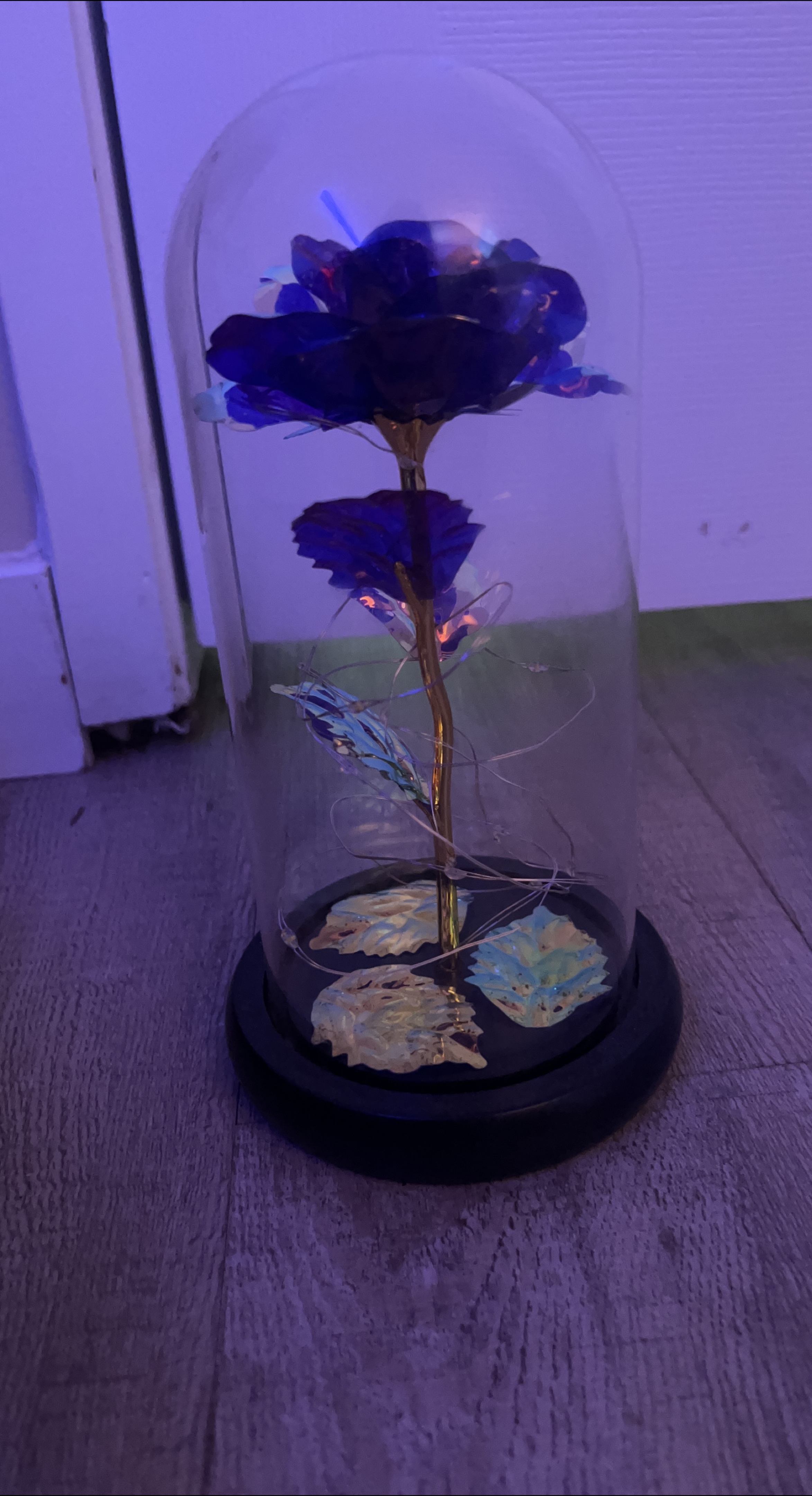 Enchanted Blue Rose in Glass Dome with leds