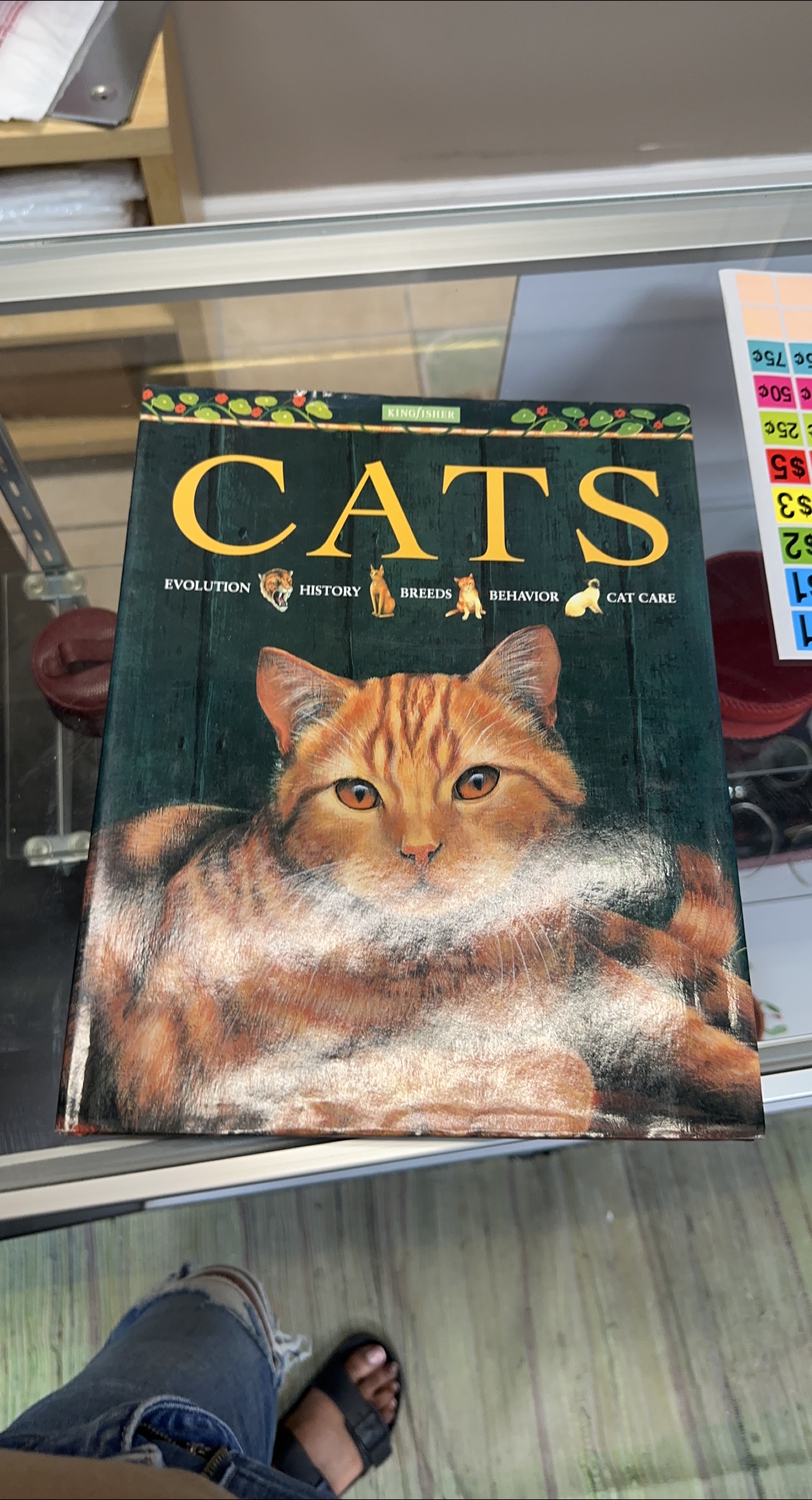 CATS: Evolution, History, Breeds, Behavior, Cat Care thumbnail