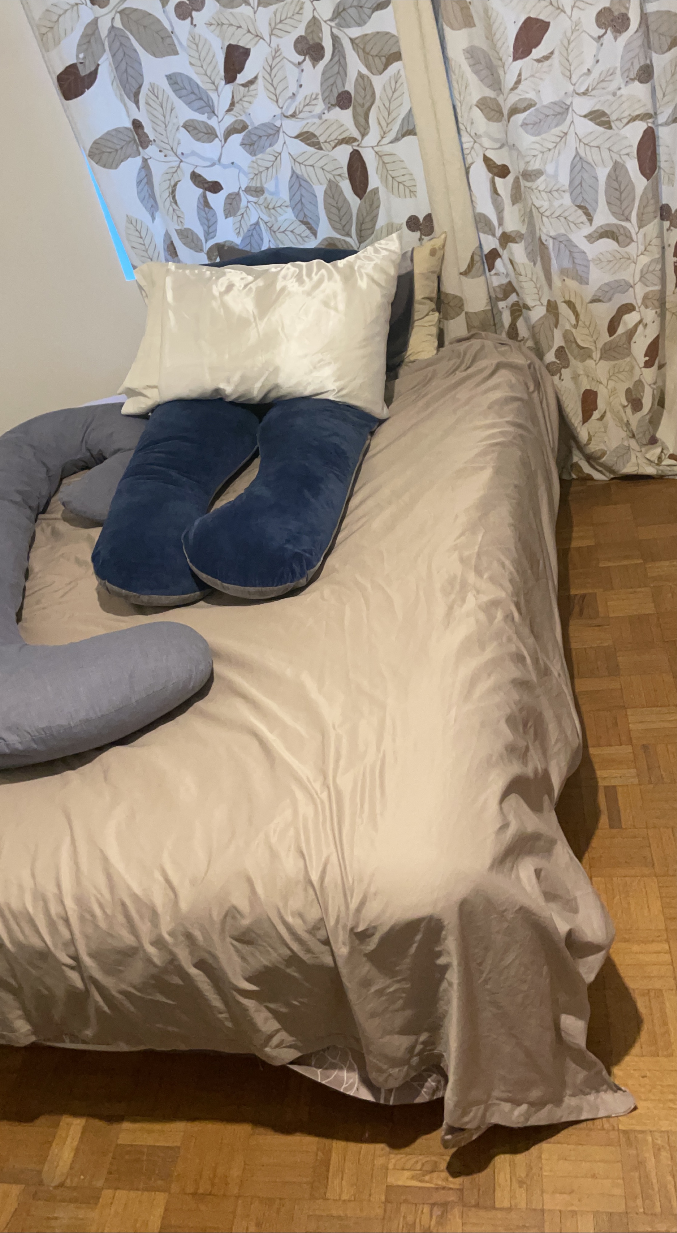 Body Pillow and Pillow thumbnail